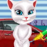 صورة سيارة القطة
