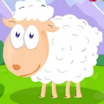 صورة اطعام الخروف