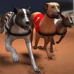 صورة سباق كلاب بيتبول