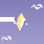 صورة مغامرات الكلب